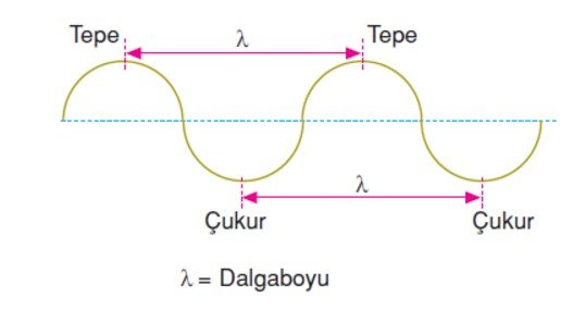 Dalgaların Hızı 10.Sınıf Fizik içeriğine ait görsel