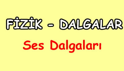 Ses Dalgaları 10.Sınıf Fizik içeriğine ait görsel