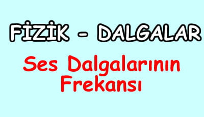 Ses Dalgalarının Frekansı 10.Sınıf Fizik içeriğine ait görsel