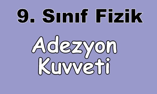 Adezyon (Yapışma) Kuvveti 9. Sınıf Fizik içeriğine ait görsel