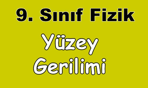 Yüzey Gerilimi 9.Sınıf Fizik içeriğine ait görsel