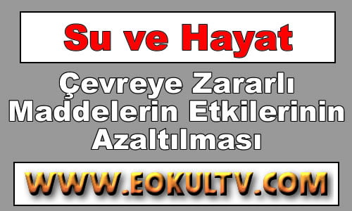 Çevreye Zararlı Maddelerin Etkilerinin Azaltılması 9.Sınıf Kimya içeriğine ait görsel