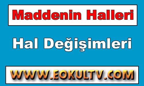 Hal Değişimleri 9. Sınıf Kimya içeriğine ait görsel