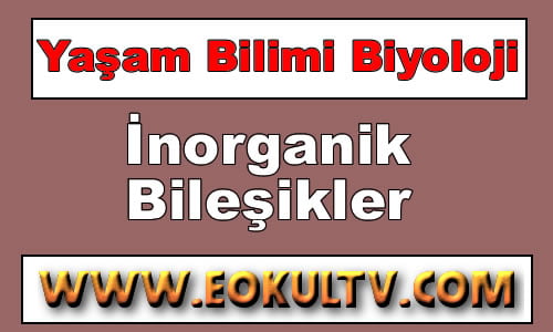 İnorganik Moleküller 9. Sınıf Biyoloji içeriğine ait görsel