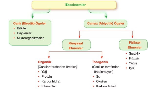 Ekosistemlerin Bozulma Nedenleri ve Sonuçları 11. Sınıf Coğrafya içeriğine ait görsel