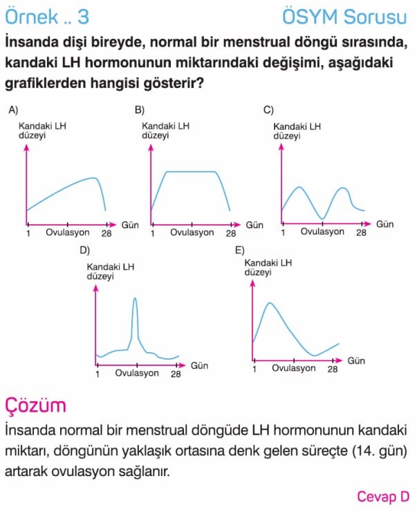 Ureme Sistemi Ve Embriyonik Gelisim Konu Anlatimi 11 Sinif Biyoloji Ozet