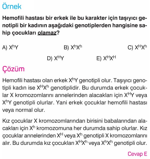 Eseye Bagli Kalitim Sorulari Cozumleri Ornek 3