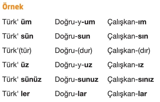 Ek Fiil Nedir? Görevleri Nelerdir Türkçe 7.Sınıf Konu Anlatımı