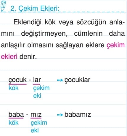 Sözcük Bilgisi Türkçe 4.Sınıf Konu Anlatımı Örnekler