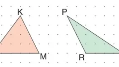 Üçgen ve Özellikleri (Üçgen Çeşitleri) Test Çöz 5. Sınıf Matematik içeriğine ait görsel