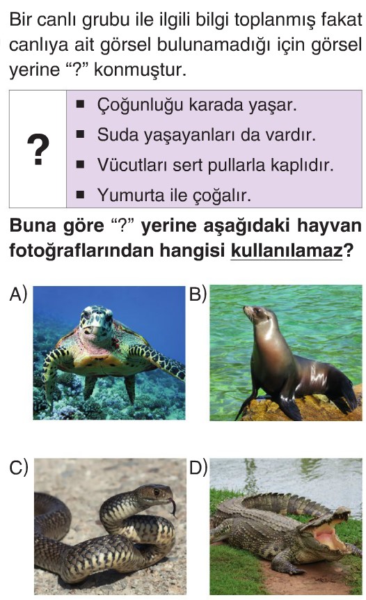 Hayvanlar Test Çöz 5. Sınıf Fen Bilimleri Testleri Yeni Nesil Sorular