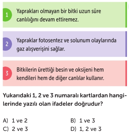 Bitkiler Test Çöz 5. Sınıf Fen Bilimleri Testleri Yeni Nesil Sorular