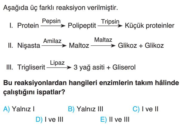 Enzimler Test Çöz 9. Sınıf Biyoloji Yeni Nesil Sorular