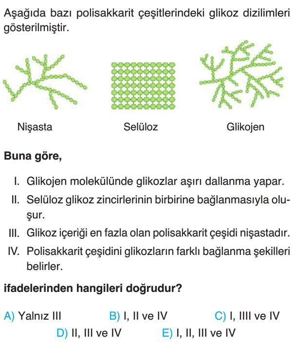 Karbonhidratlar Test Çöz 9. Sınıf Biyoloji Yeni Nesil Sorular